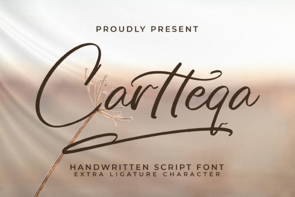 Cartteqa: A Font for Campaigns That Demand a Signature Style