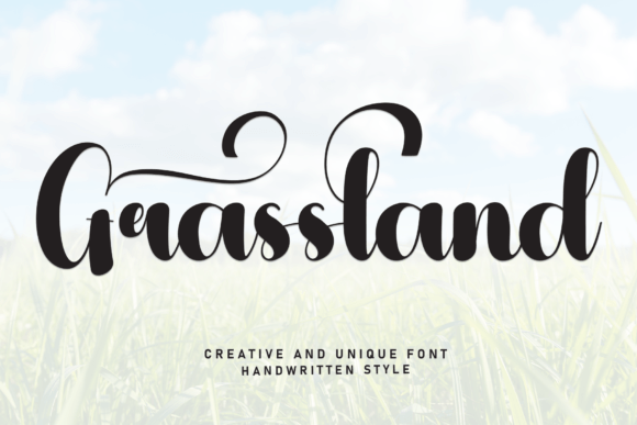 Grassland Font: A Web Designer's Path to Organic Typography