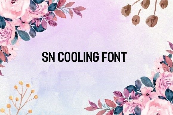 Testing the Sn Cooling Font for Modern Digital Projects